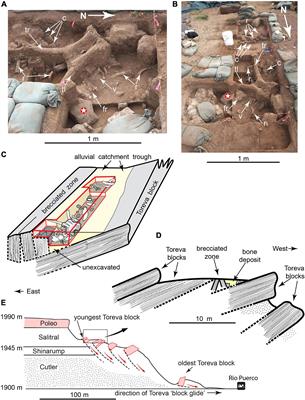 Human Occupation of the North American Colorado Plateau ∼37,000 Years Ago